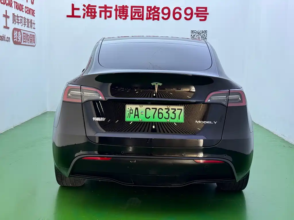 Tesla Model Y — миниатюра 20