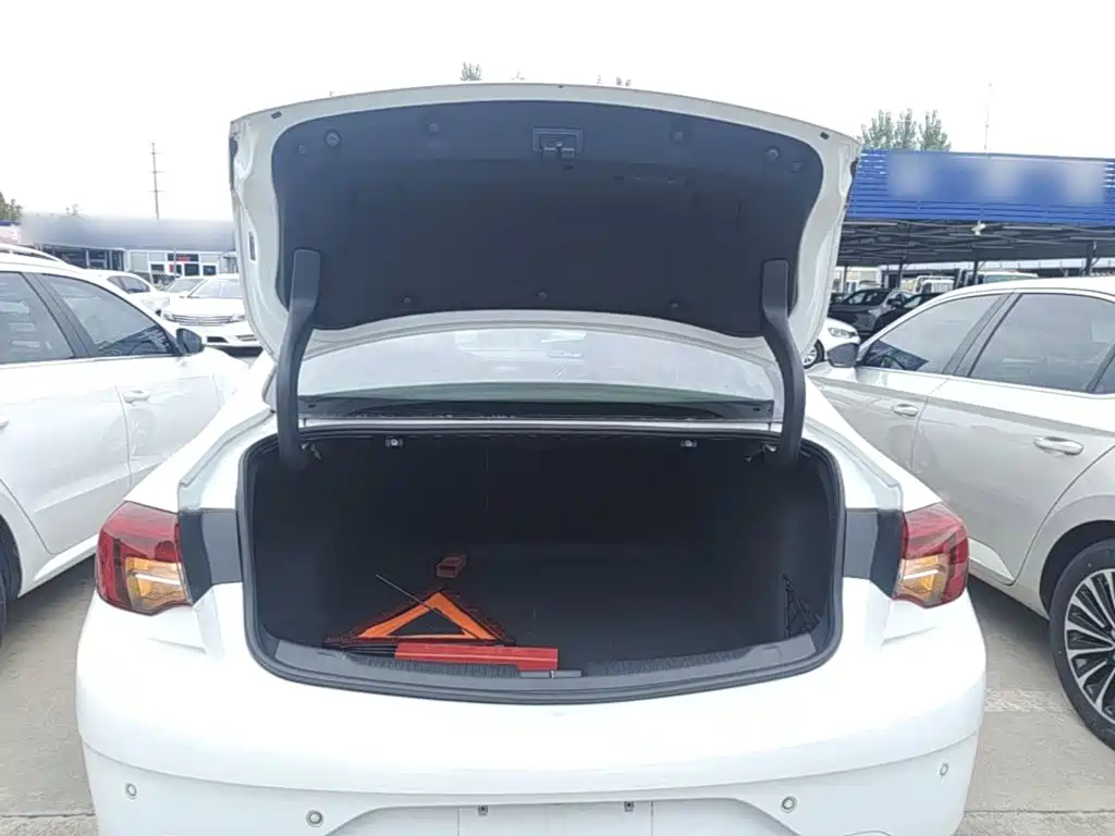 Buick Regal — миниатюра 19