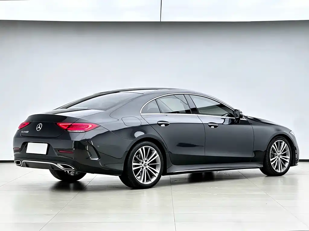 Mercedes-Benz CLS CLS 300 Dynamic Type, фото 16
