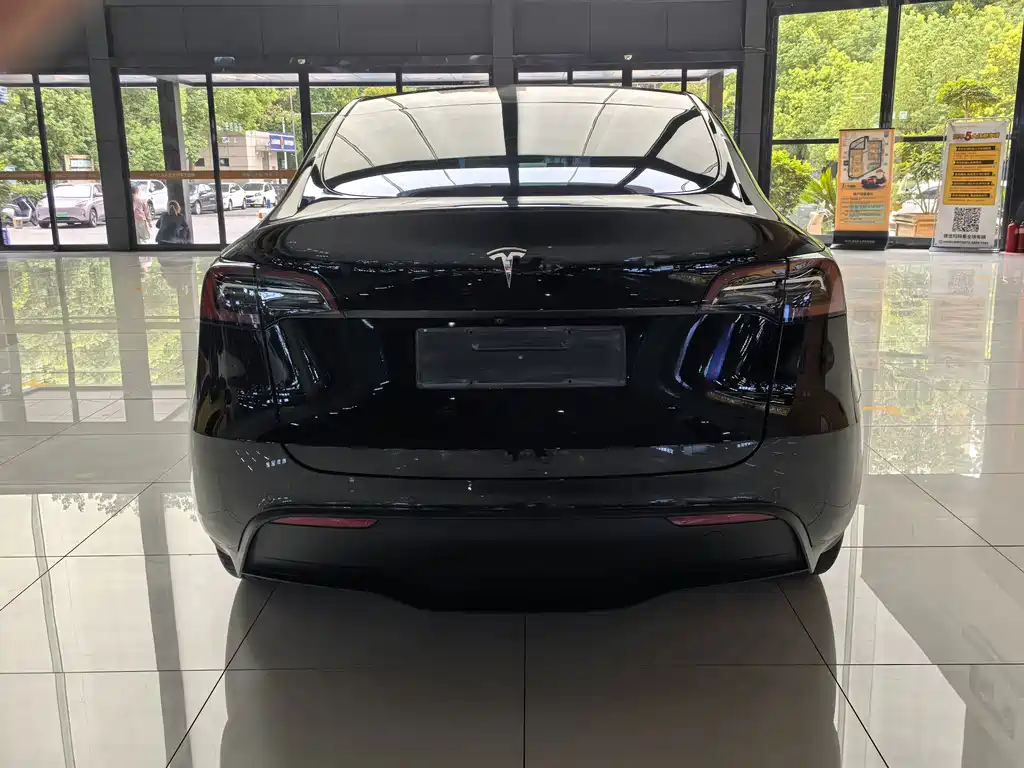 Tesla Model Y — миниатюра 8