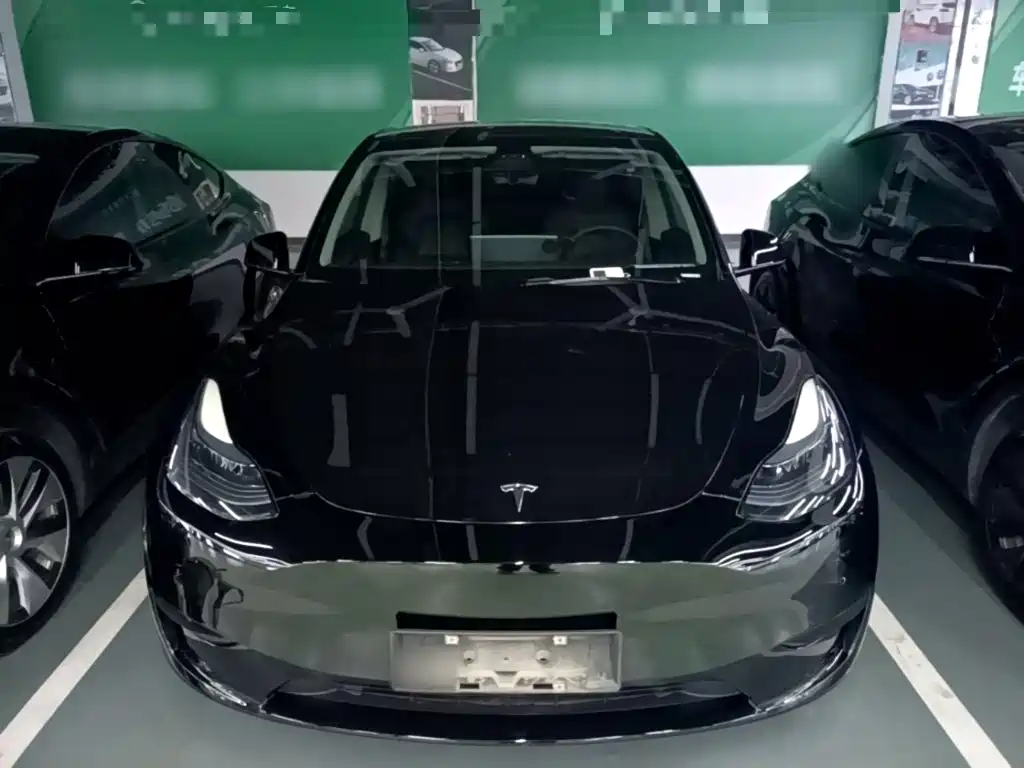 Tesla Model Y — миниатюра 3