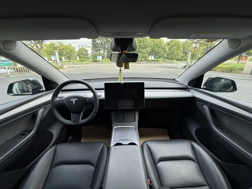 Tesla Model Y — миниатюра 11