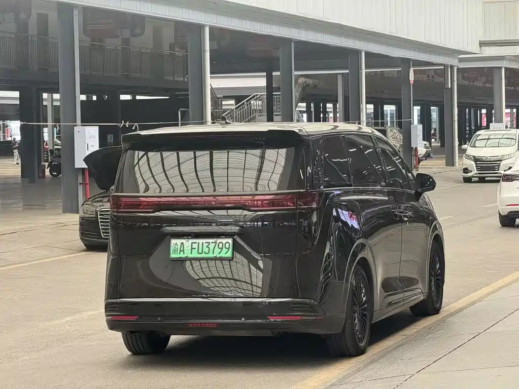 Denza Denza D9 — миниатюра 11