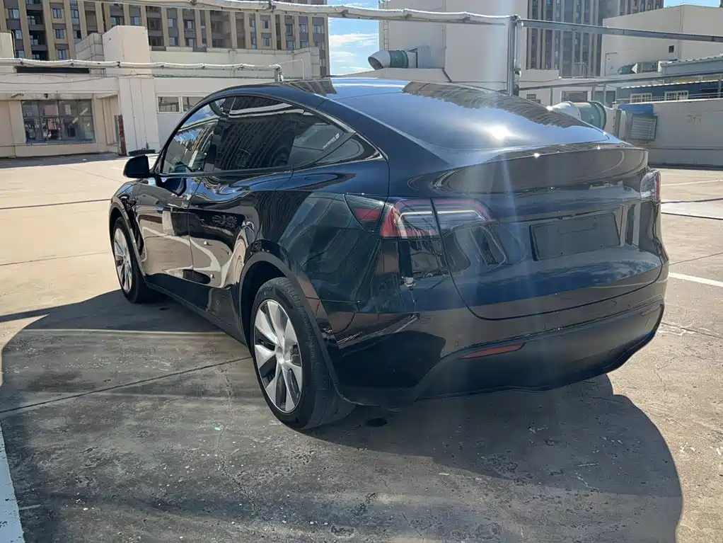Tesla Model Y — миниатюра 13
