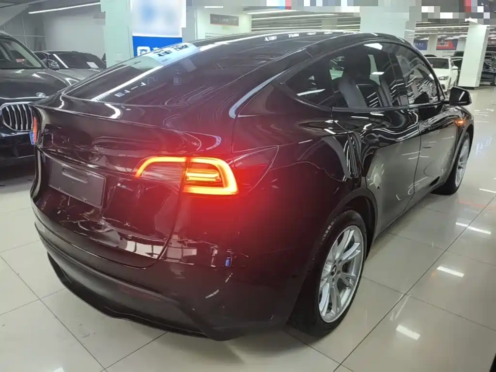 Tesla Model Y — миниатюра 7