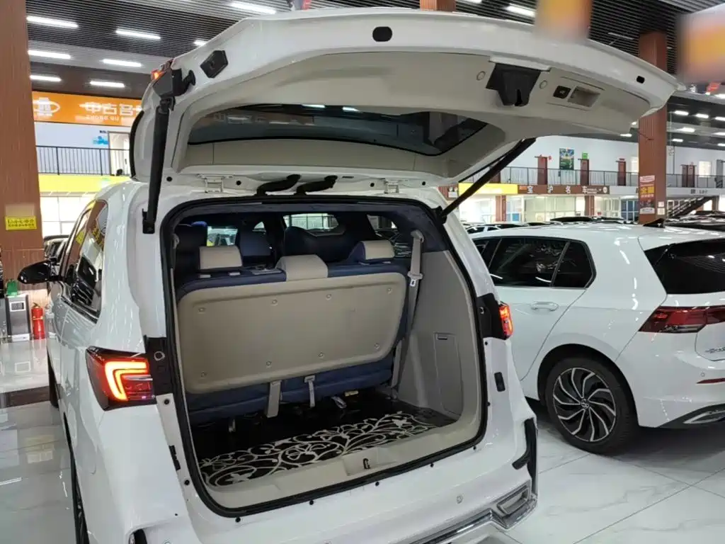 Buick GL8 — миниатюра 19
