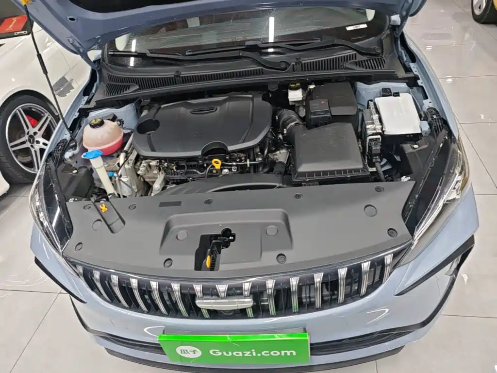 Geely Binrui — миниатюра 20