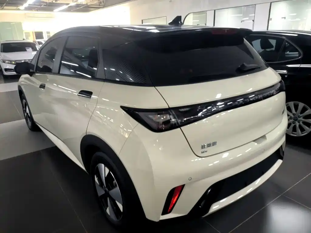 BYD Dolphin — миниатюра 5