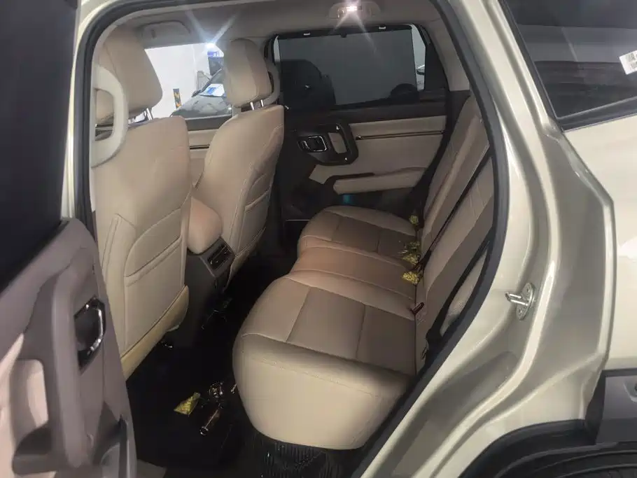 Haval Big Dog PLUS — миниатюра 11