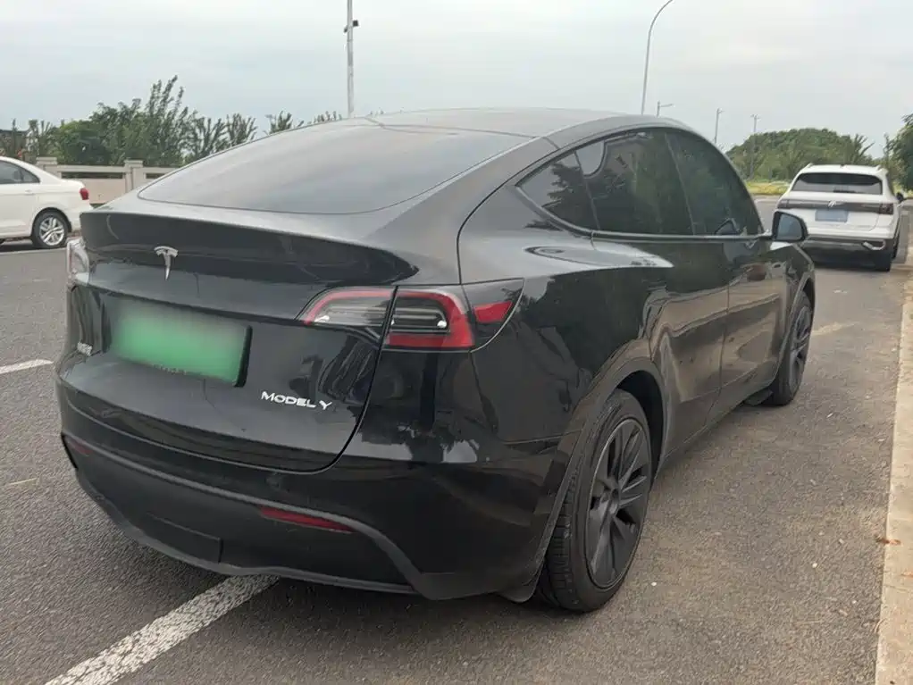 Tesla Model Y — миниатюра 17