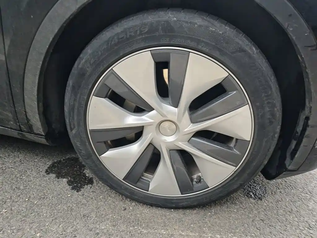 Tesla Model Y — миниатюра 8