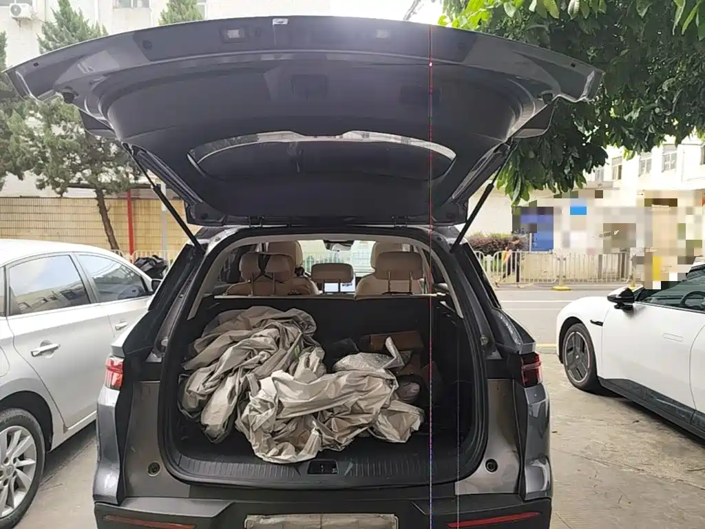BYD Pro New Energy — миниатюра 19