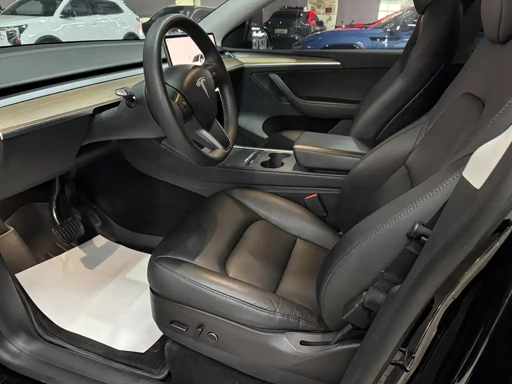 Tesla Model Y — миниатюра 5