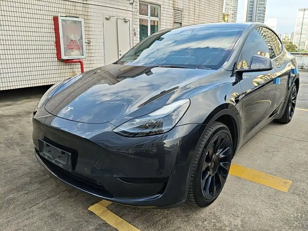 Tesla Model Y — миниатюра 2