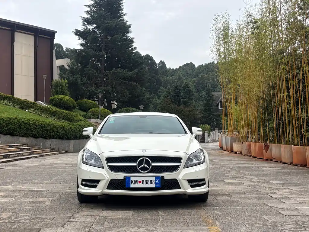 Mercedes-Benz CLS — миниатюра 2
