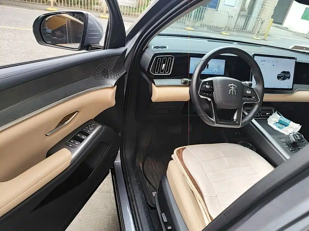 BYD Pro New Energy — миниатюра 16