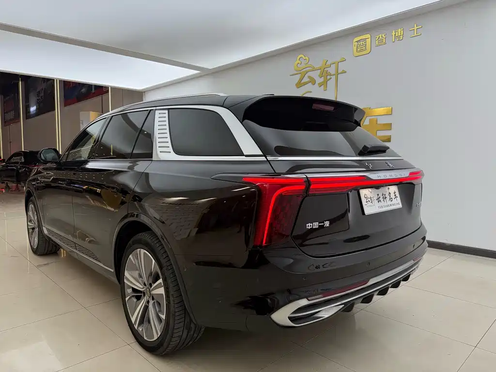 Hongqi Hongqi E-HS9 — миниатюра 21