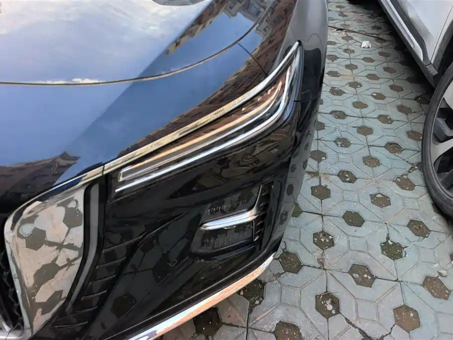 Hongqi H5 2024 2.0T AT