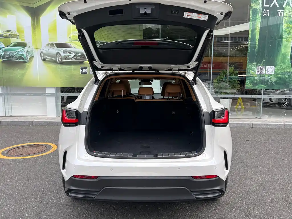 Lexus NX New Energy — миниатюра 14