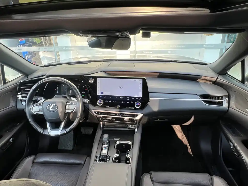 Lexus RX New Energy — миниатюра 5