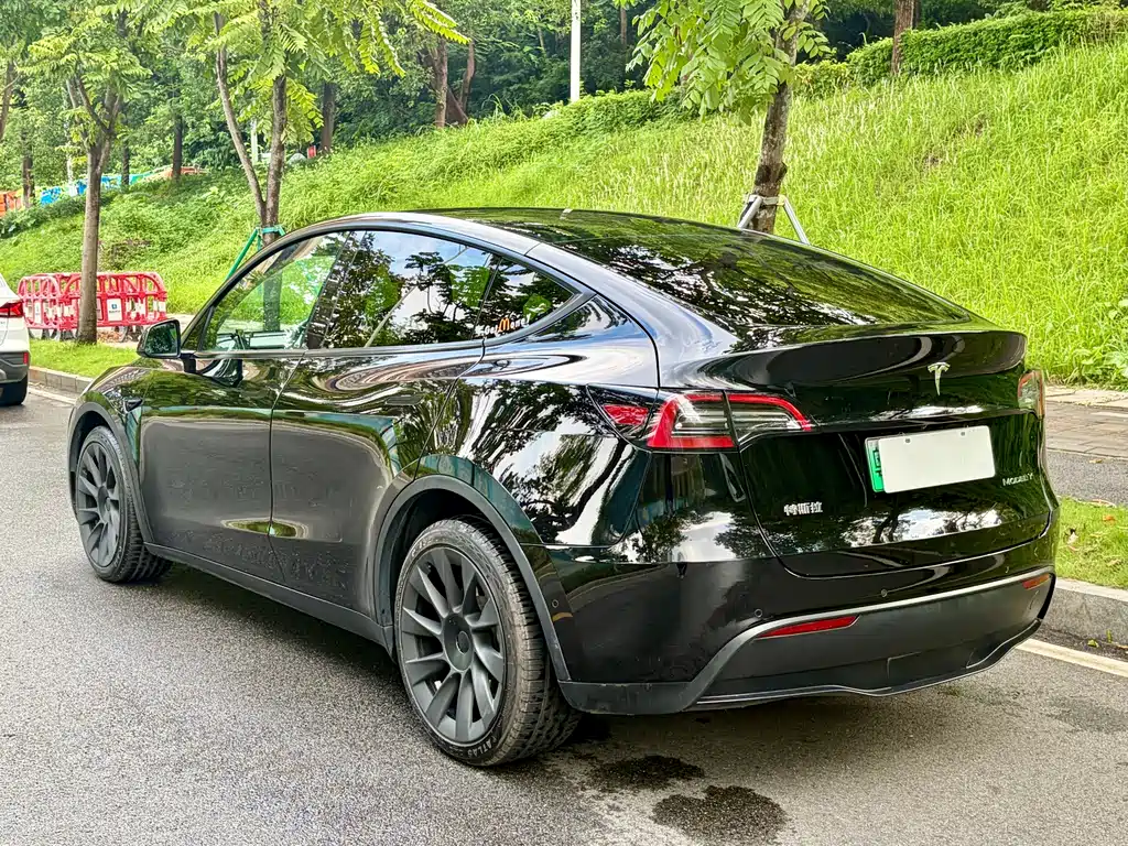 Tesla Model Y — миниатюра 8