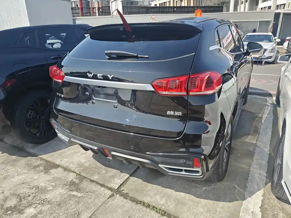 WEI PAI WEI BRAND VV5