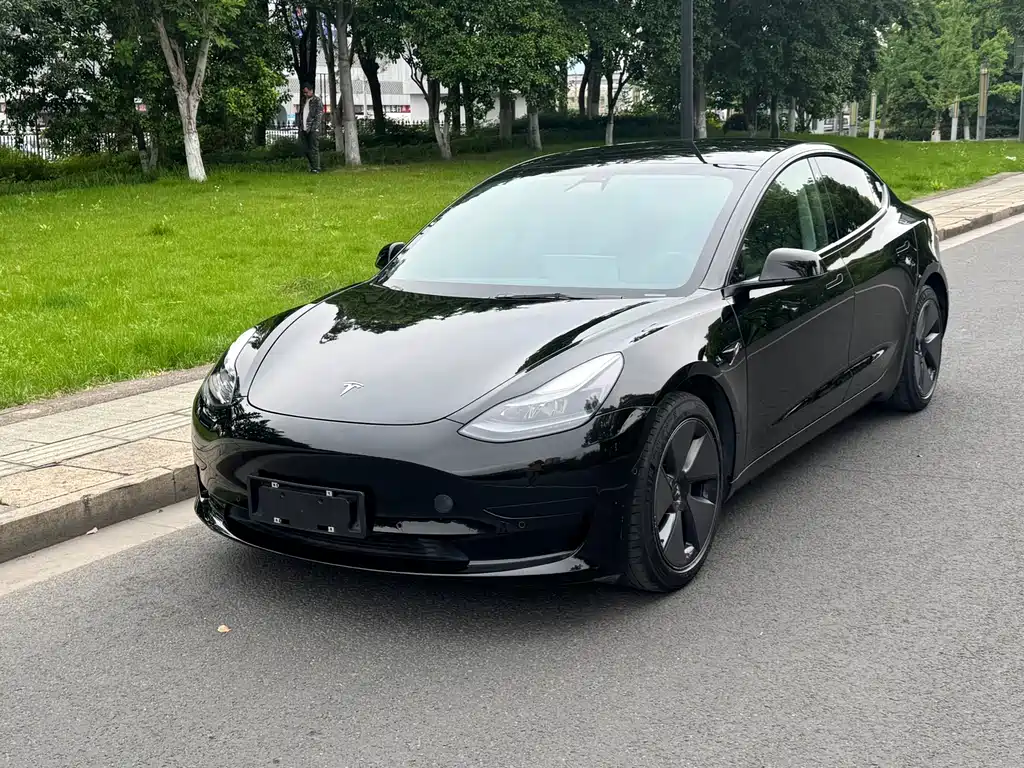 Tesla Model 3 2021