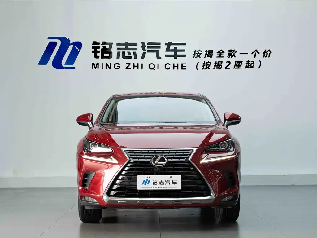 Lexus NX — миниатюра 3