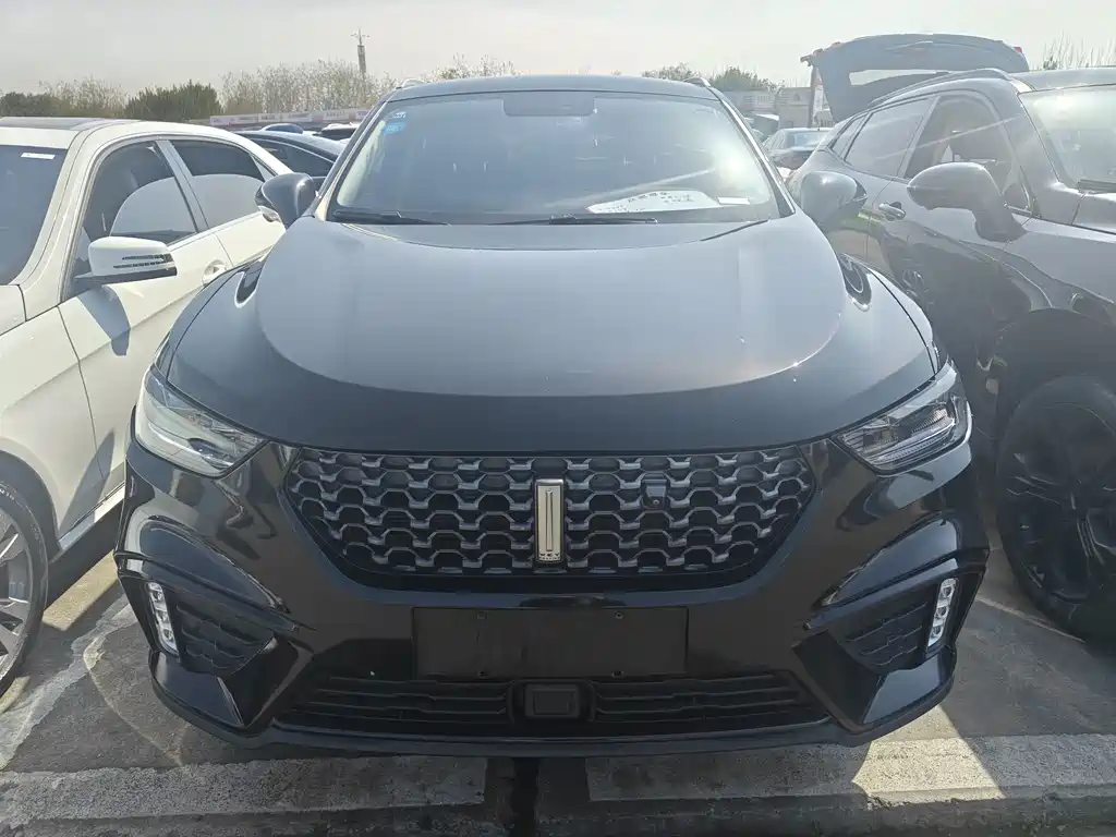 WEI PAI WEI BRAND VV5