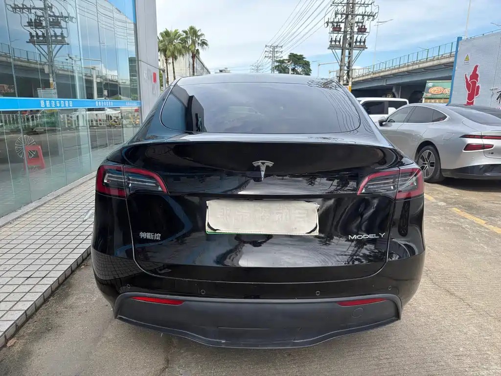 Tesla Model Y — миниатюра 10