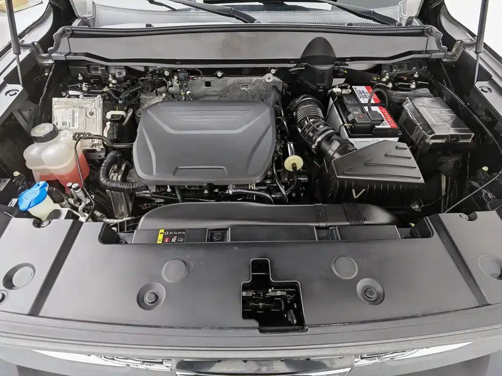 Haval Big Dog PLUS — миниатюра 6