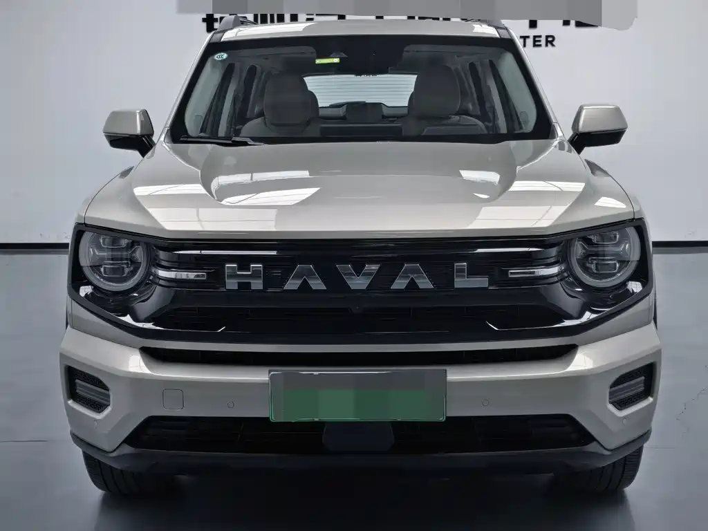 Haval Big Dog PLUS New Energy — миниатюра 2