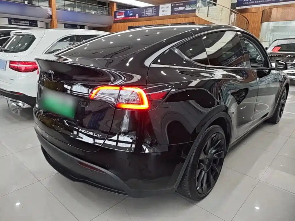 Tesla Model Y — миниатюра 7