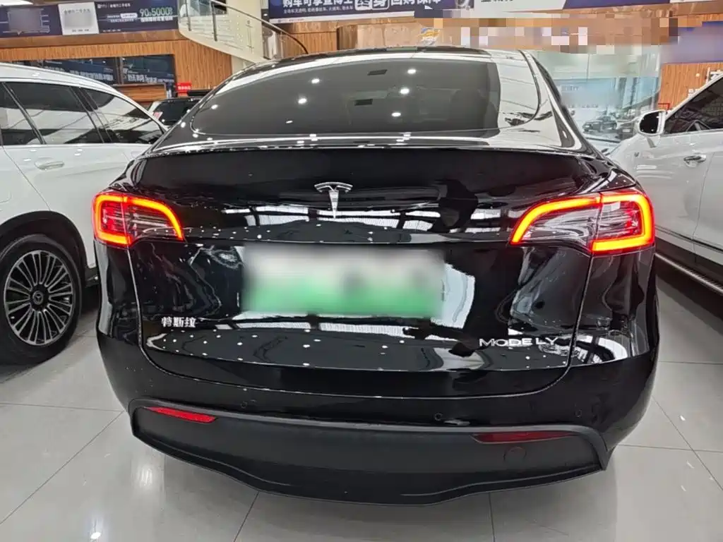 Tesla Model Y — миниатюра 6