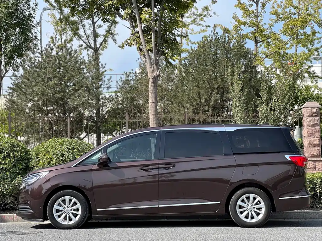 Buick GL8 — миниатюра 4