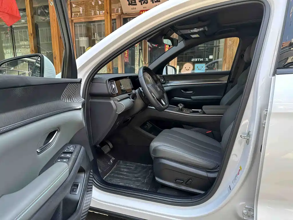 BYD Pro New Energy — миниатюра 6