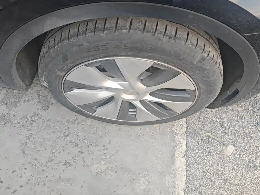 Tesla Model Y — миниатюра 6