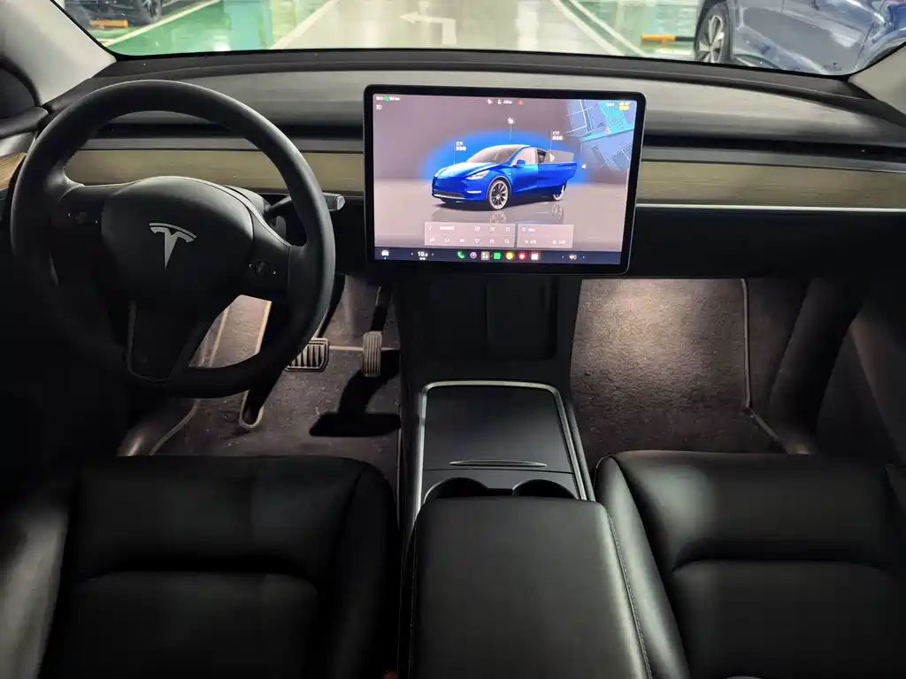 Tesla Model Y — миниатюра 11