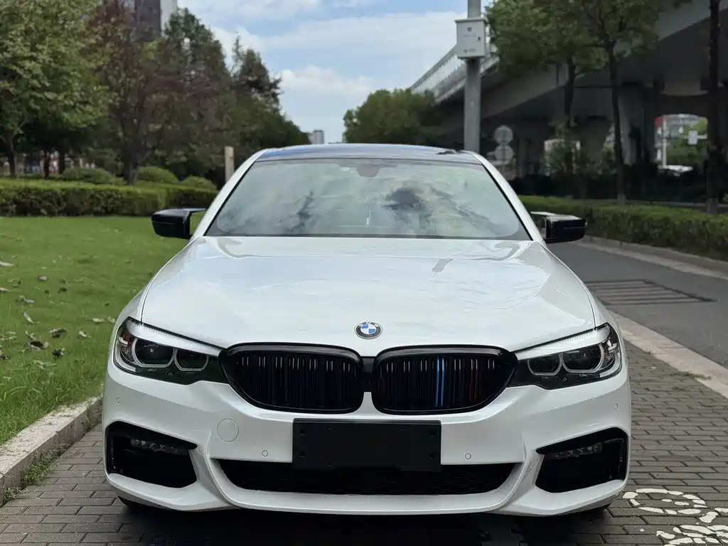 BMW 5 Series — миниатюра 2