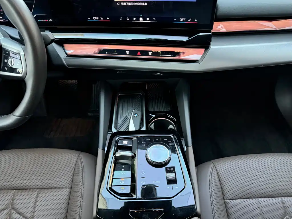 BMW 5 Series 5 2024 530Li Lead Luxury