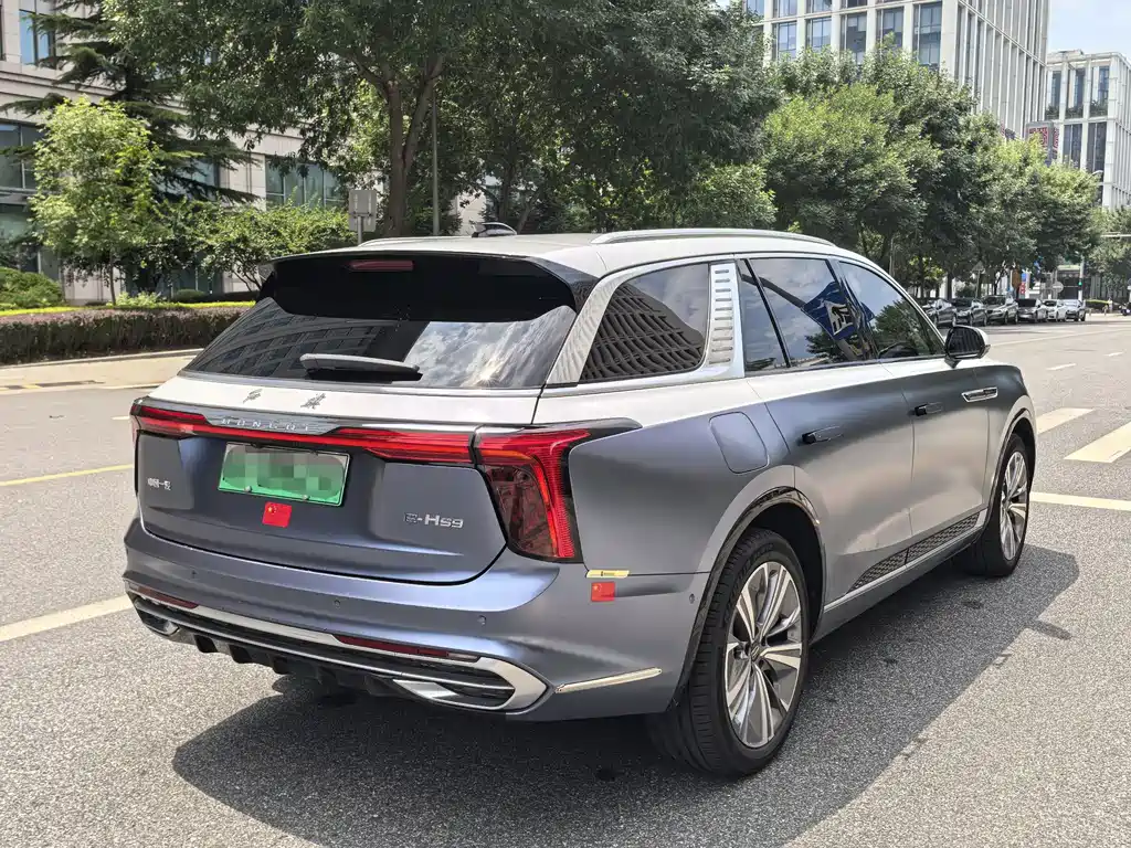 Hongqi E-HS9 — фотографии объявления, Фото 5