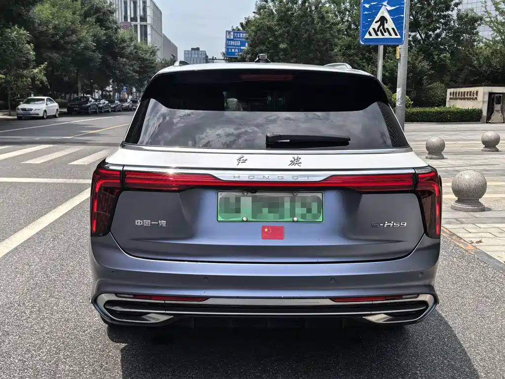 Hongqi E-HS9 — фотографии объявления, Фото 4