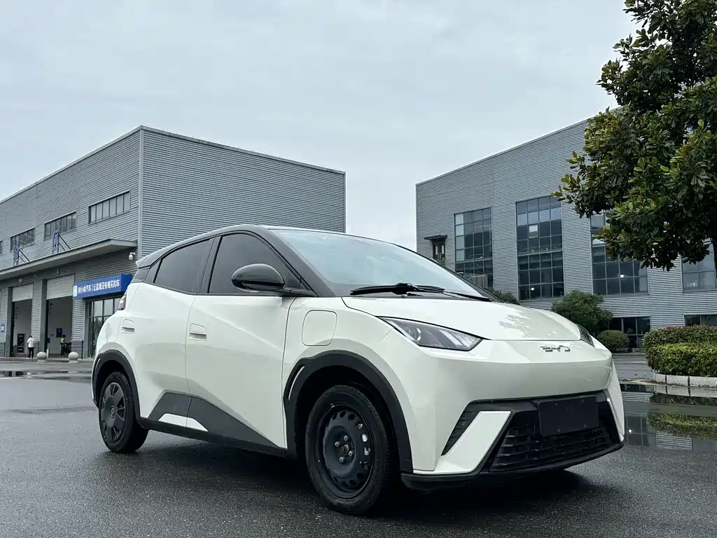 BYD Seagull 2024 305km
