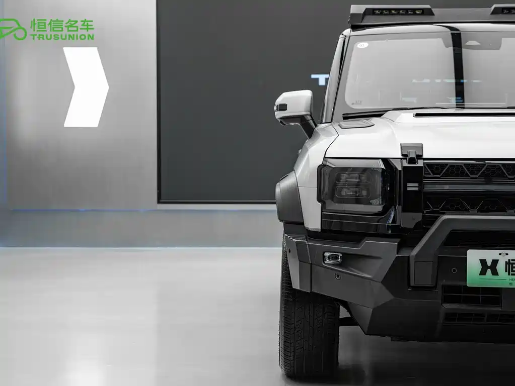 Shanhai Краткосрочный путешественник C-DM — миниатюра 7