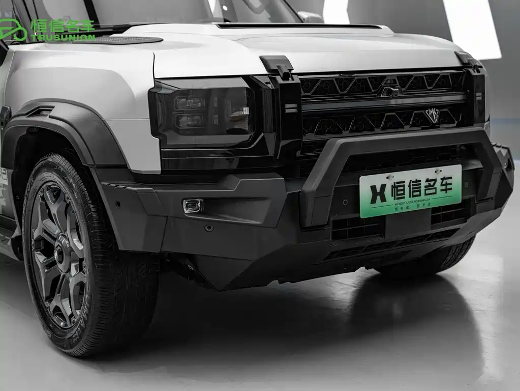 Shanhai Краткосрочный путешественник C-DM — миниатюра 8