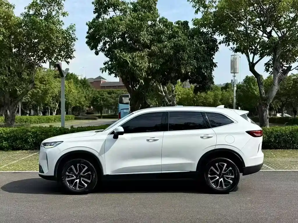 Haval H6 — миниатюра 5