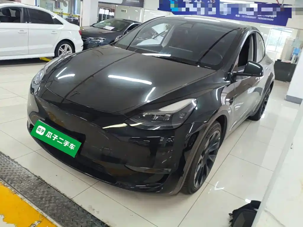 Tesla Model Y — миниатюра 2