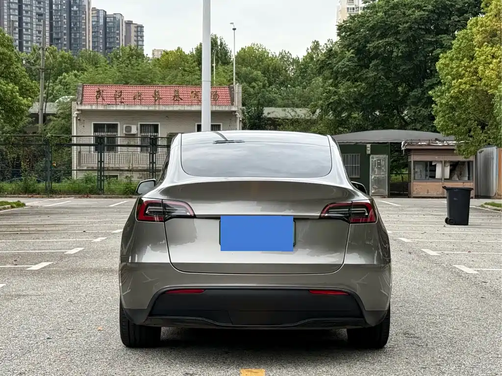 Tesla Model Y — миниатюра 5