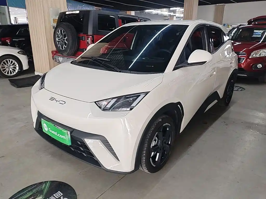 Byd Seagull 2024