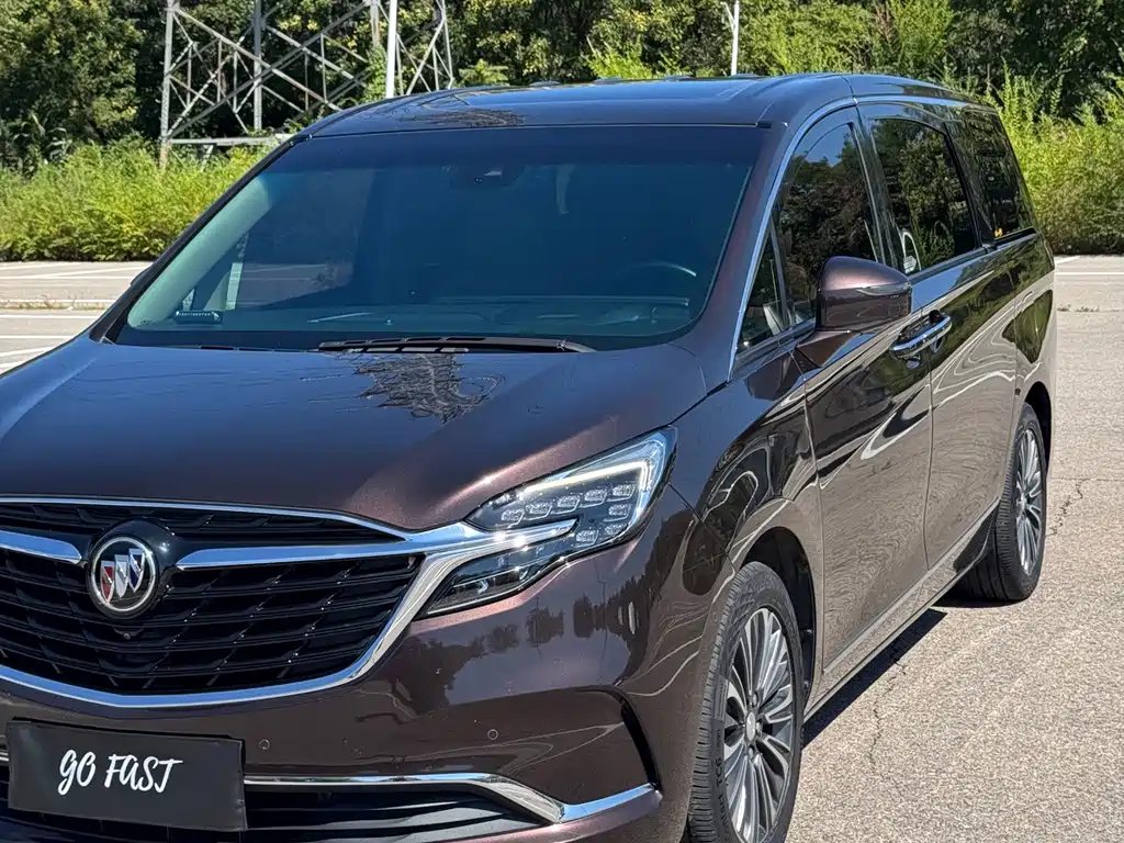 Buick GL8 — миниатюра 7